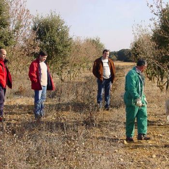 Formación ambiental