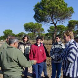 Curso Inforest