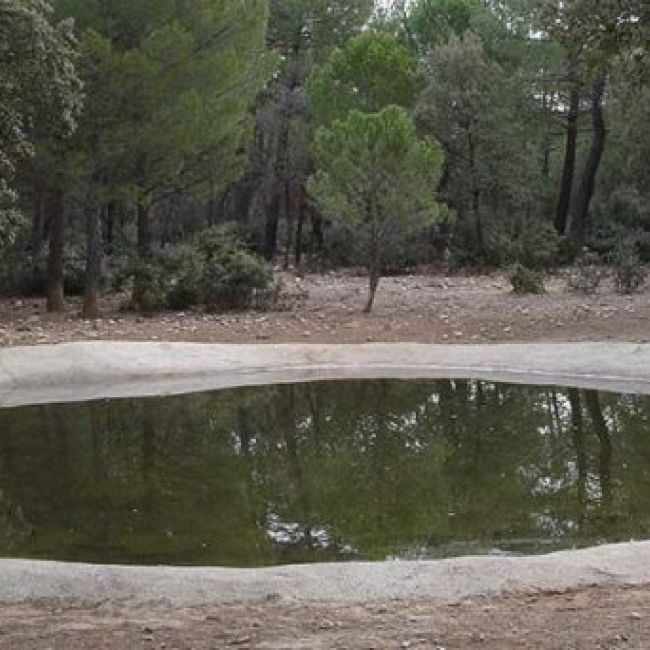 consultora gestora ambiental