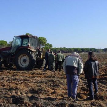 Curso Inforest