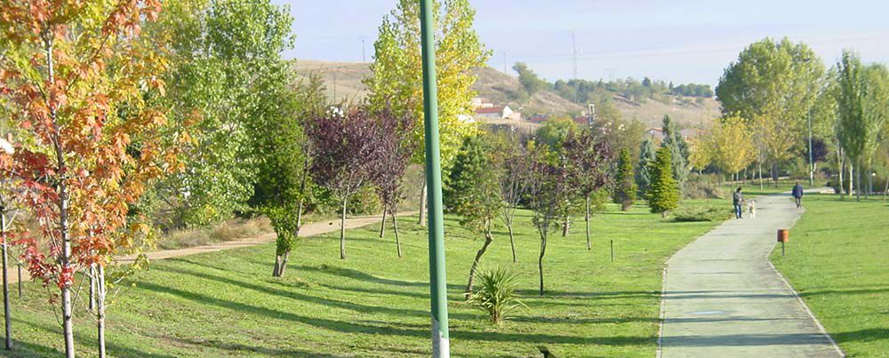 obras en medio natural